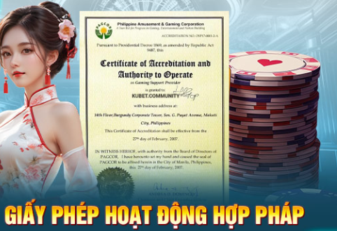 Nhà Cái Winxx88 Bị Sập Đang Rất Hot Trong Cộng Đồng Game Cá Cược Online Kubet