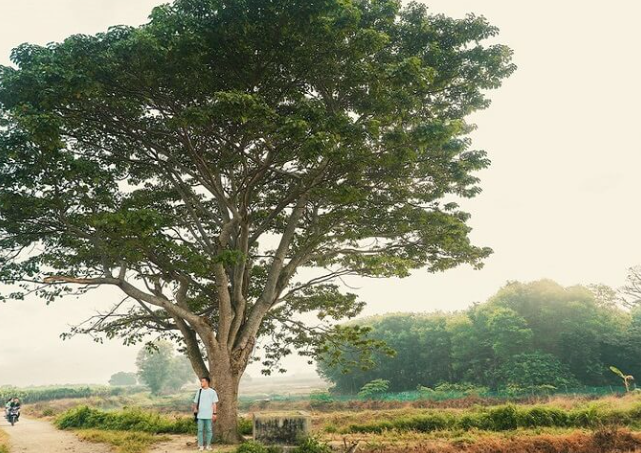 Đánh Con Số Nào Để Gia Tăng May Mắn Ku Casino?