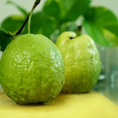 Quả ổi: Giấc mơ và ý nghĩa, số may mắn trong trò chơi bingo