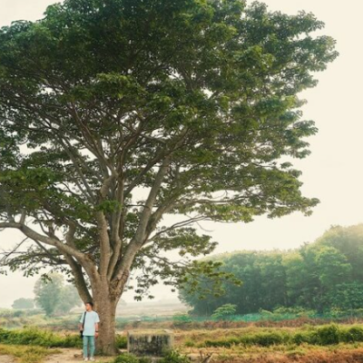 Đánh Con Số Nào Để Gia Tăng May Mắn Ku Casino?