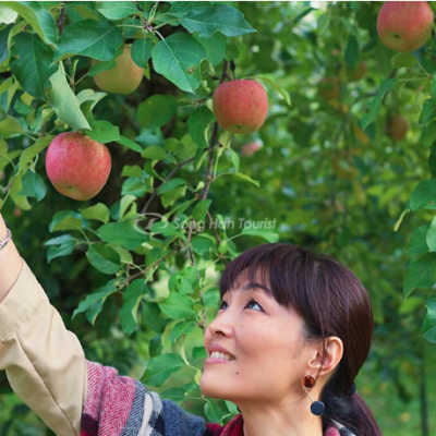 Giấc Mơ Thấy Hái Trái Cây: Giải Mã Ý Nghĩa Và Những Con Số May Mắn Ku bet